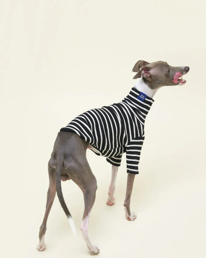 Cafe in Paris Dog Shirt - Image 3