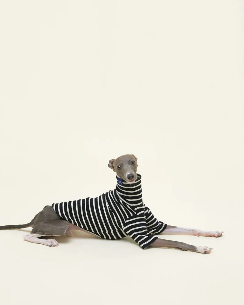 Cafe in Paris Dog Shirt - Image 4