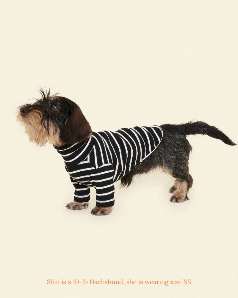Cafe in Paris Dog Shirt - Image 6