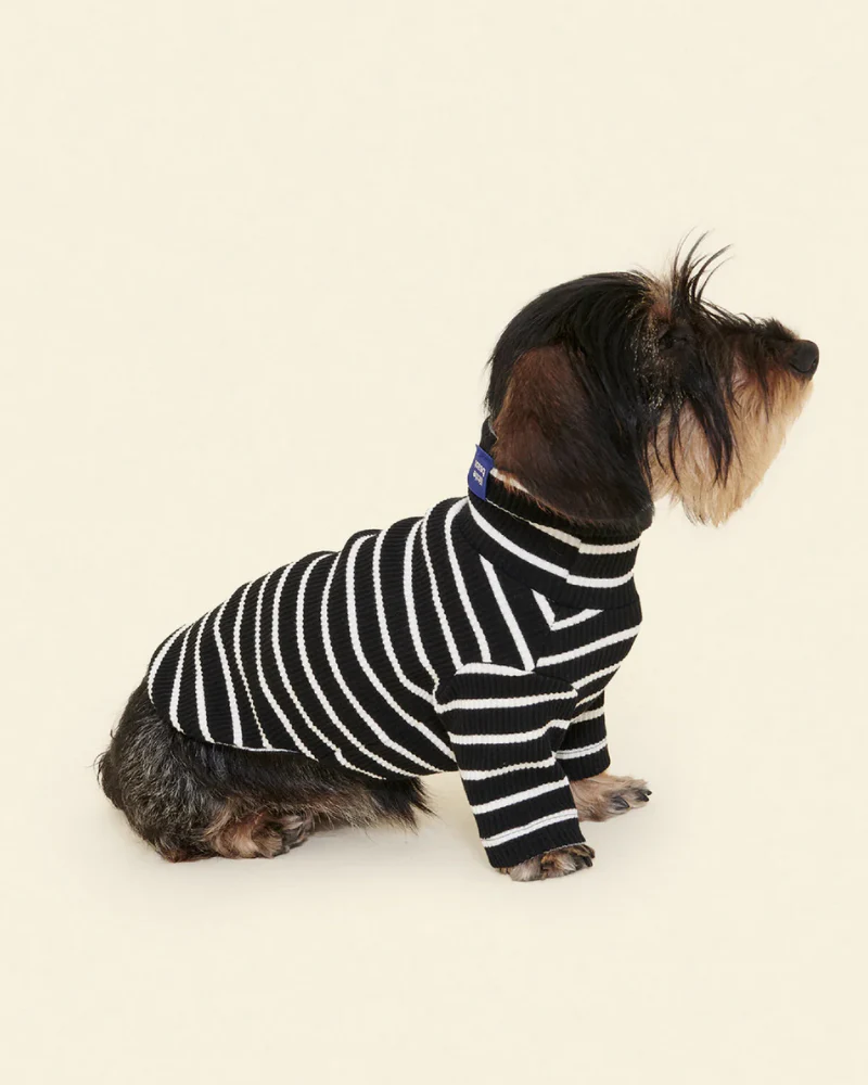 Cafe in Paris Dog Shirt - Image 7