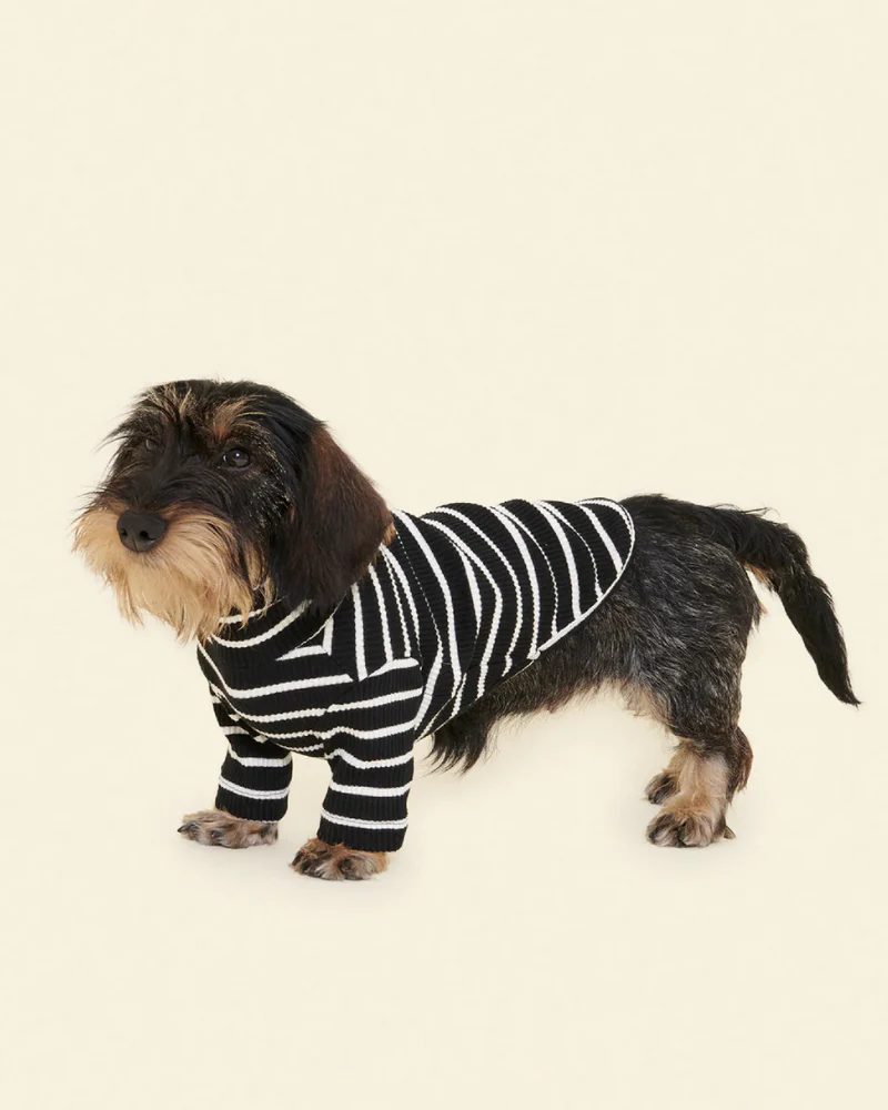 Cafe in Paris Dog Shirt - Image 8