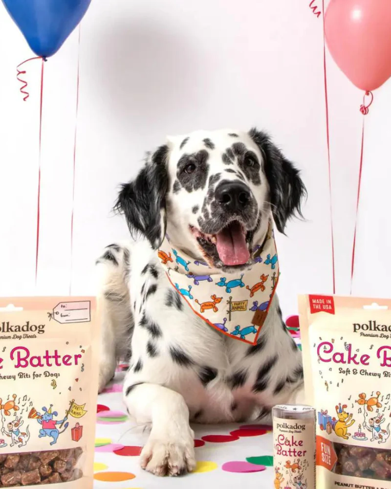 Cake Batter PB & Banana Soft Dog Treats - Image 4