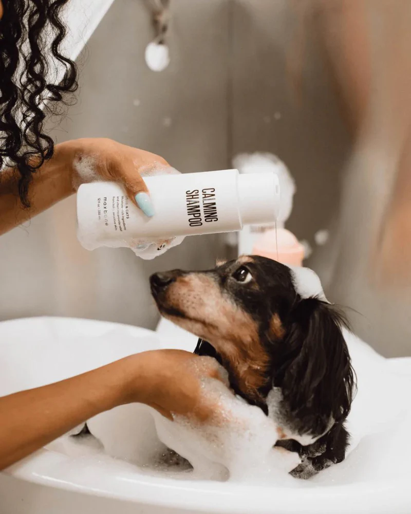 Calming Shampoo for Dogs & Cats - Image 4