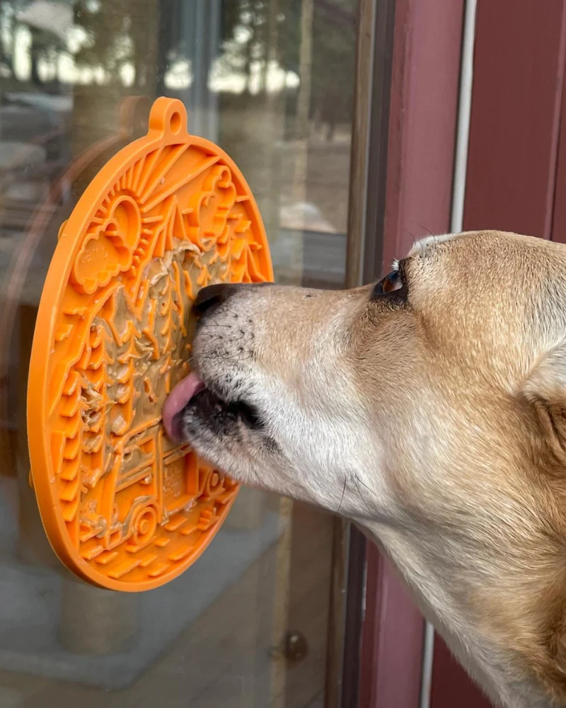 Camp Enrichment Lick Mat with Suction Cups (Made in the USA) - Image 4