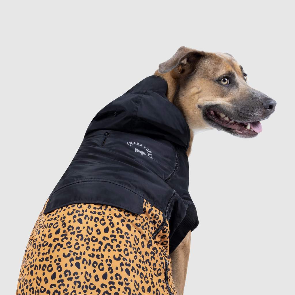 360 Jacket in Leopard (FINAL SALE) - Image 3