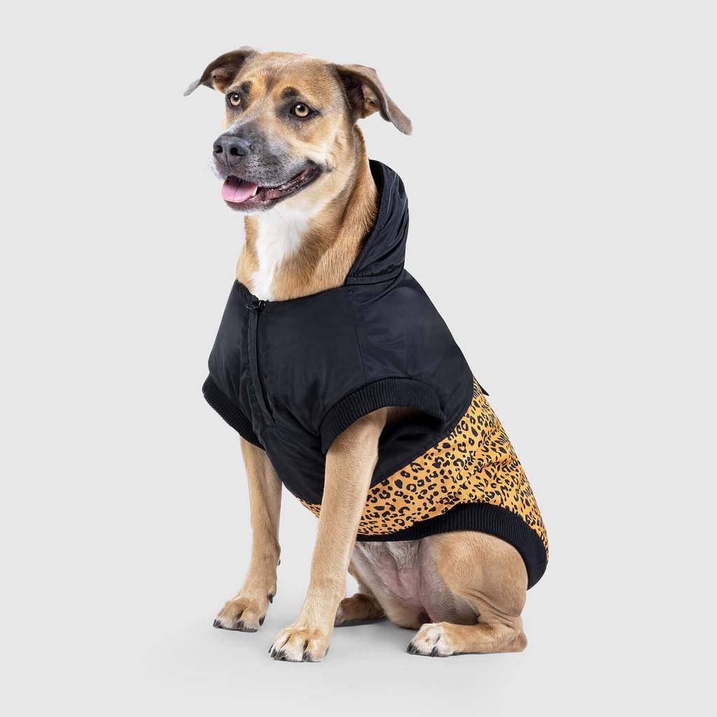 360 Jacket in Leopard (FINAL SALE) - Image 4