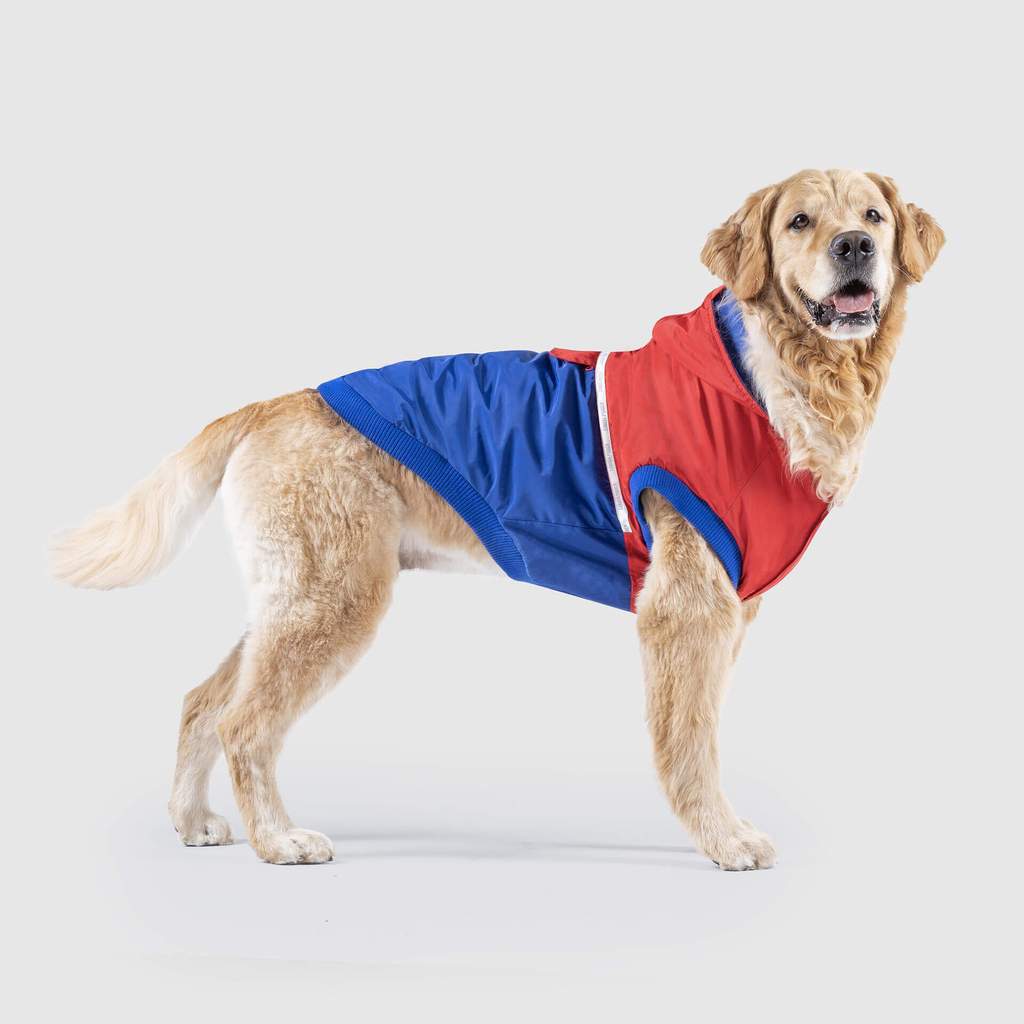 360 Jacket in Red and Blue (FINAL SALE) - Image 4