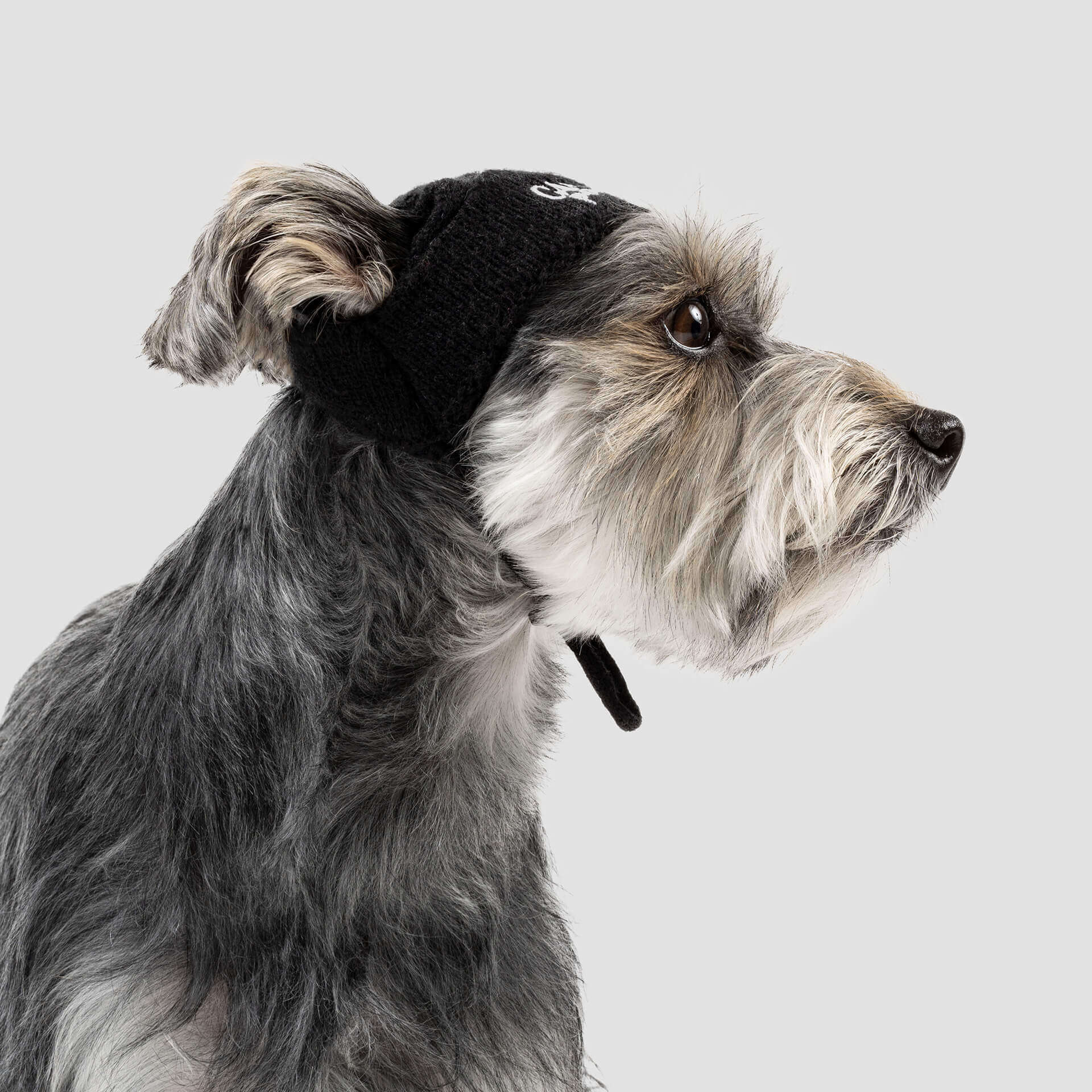 Basic Beanie in Black (FINAL TS SALE) - Image 2