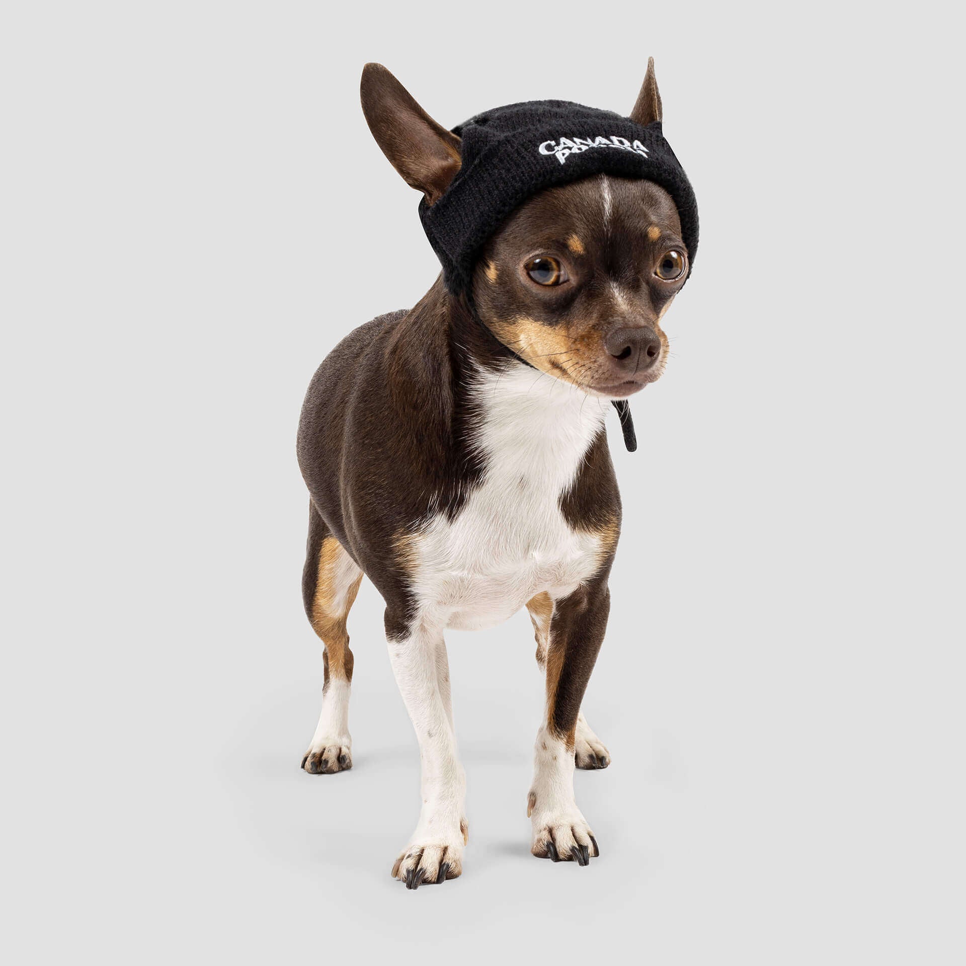 Basic Beanie in Black (FINAL TS SALE) - Image 3