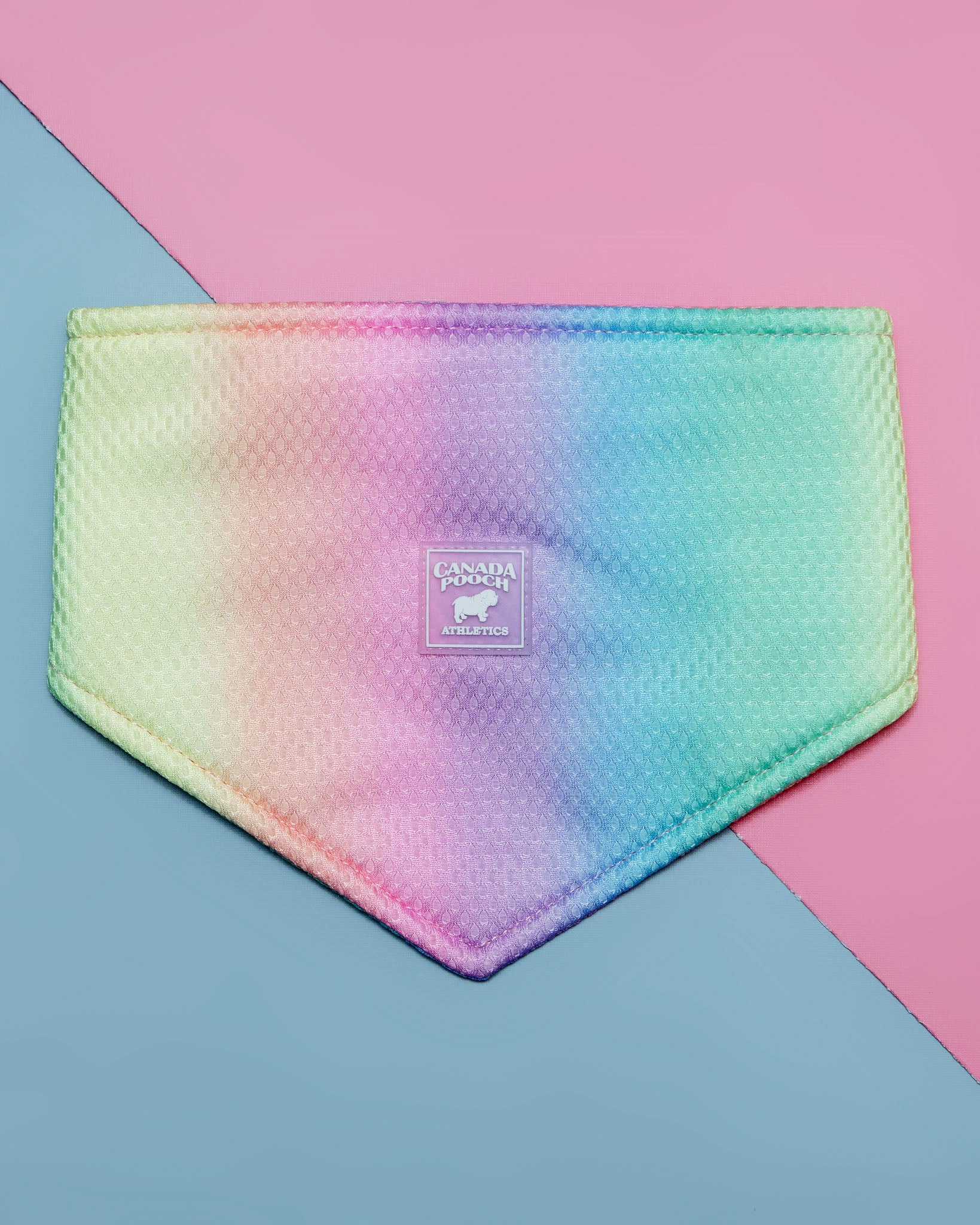 Chill Seeker Cooling Dog Bandana in Rainbow << CLEARANCE >>