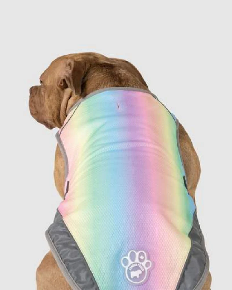 Chill Seeker Cooling Dog Vest in Rainbow << CLEARANCE >> - Image 2
