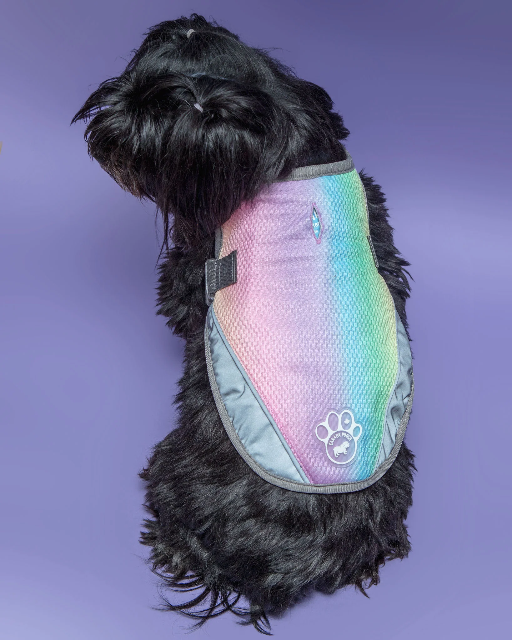 Chill Seeker Cooling Dog Vest in Rainbow << CLEARANCE >> - Image 3
