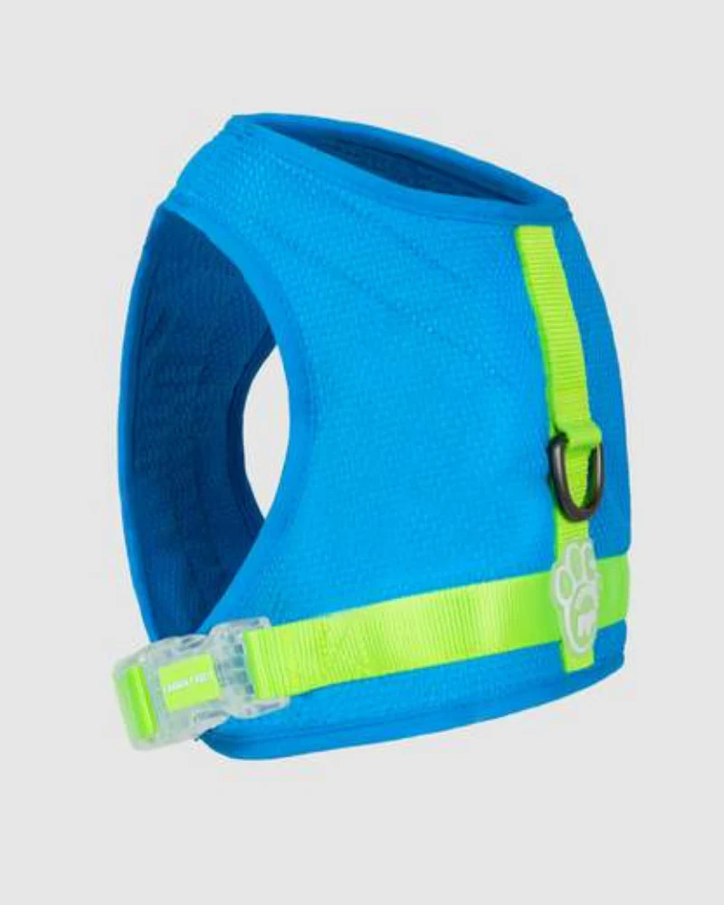 Chill Seeker Cooling Dog Harness in Blue and Green << CLEARANCE >> - Image 3