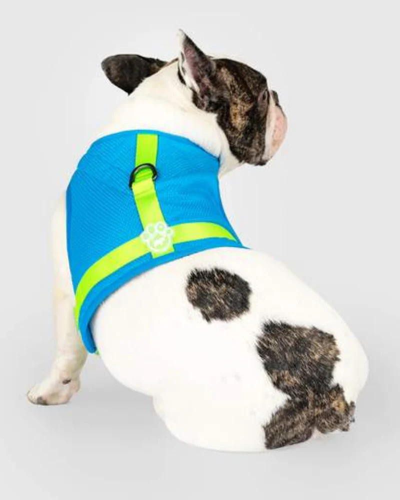 Chill Seeker Cooling Dog Harness in Blue and Green << CLEARANCE >> - Image 5