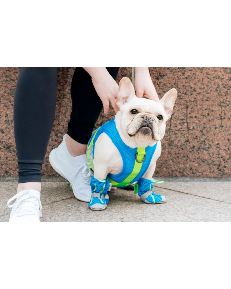 Chill Seeker Cooling Dog Harness in Blue and Green << CLEARANCE >> - Image 7