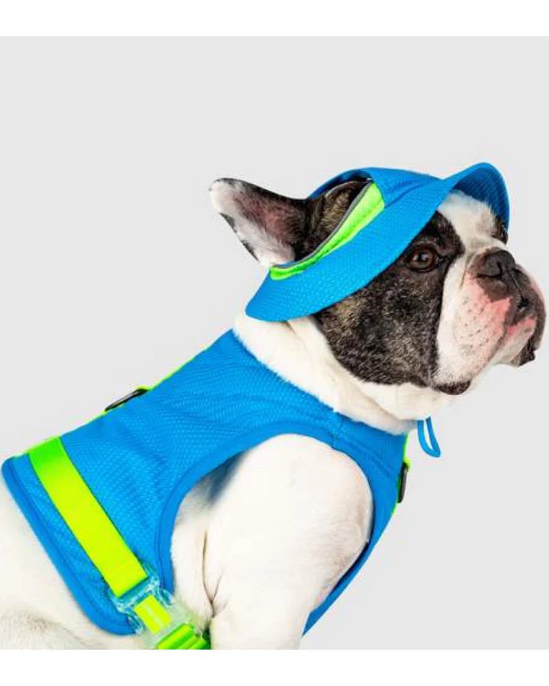 Chill Seeker Cooling Dog Hat << CLEARANCE >> - Image 4