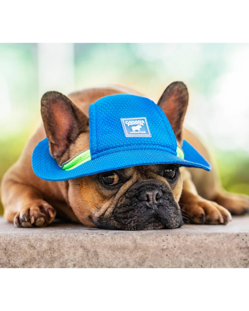 Chill Seeker Cooling Dog Hat << CLEARANCE >> - Image 5