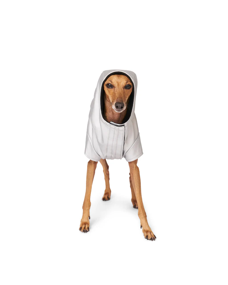 Cold Front Dog Raincoat in Silver (FINAL SALE) - Image 3