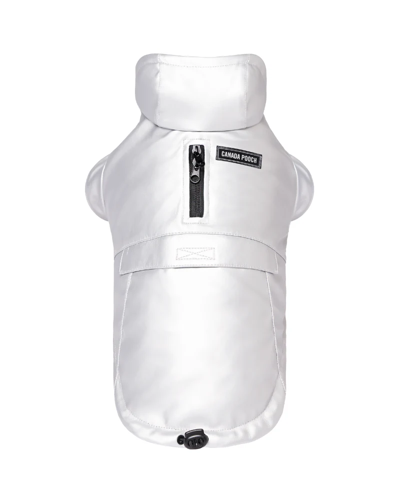 Cold Front Dog Raincoat in Silver (FINAL SALE) - Image 4