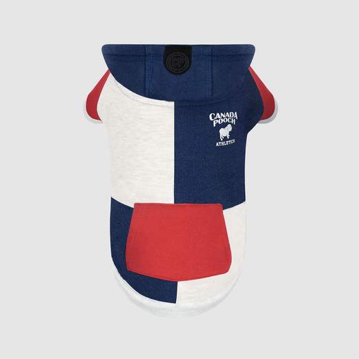 Colorblock Hoodie in Navy (FINAL SALE) - Image 3