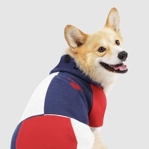 Colorblock Hoodie in Navy (FINAL SALE) - Image 4
