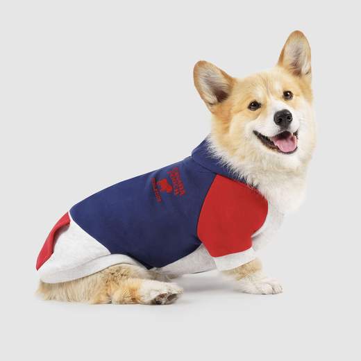 Colorblock Hoodie in Navy (FINAL SALE) - Image 5