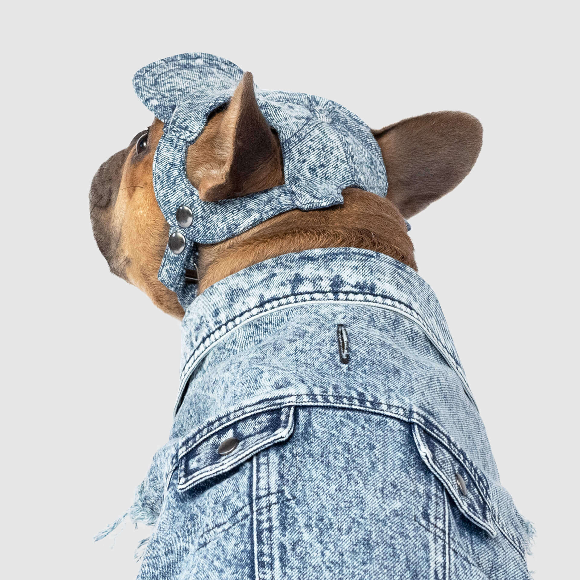CANADA POOCH | Comeback Denim Cap - Image 3