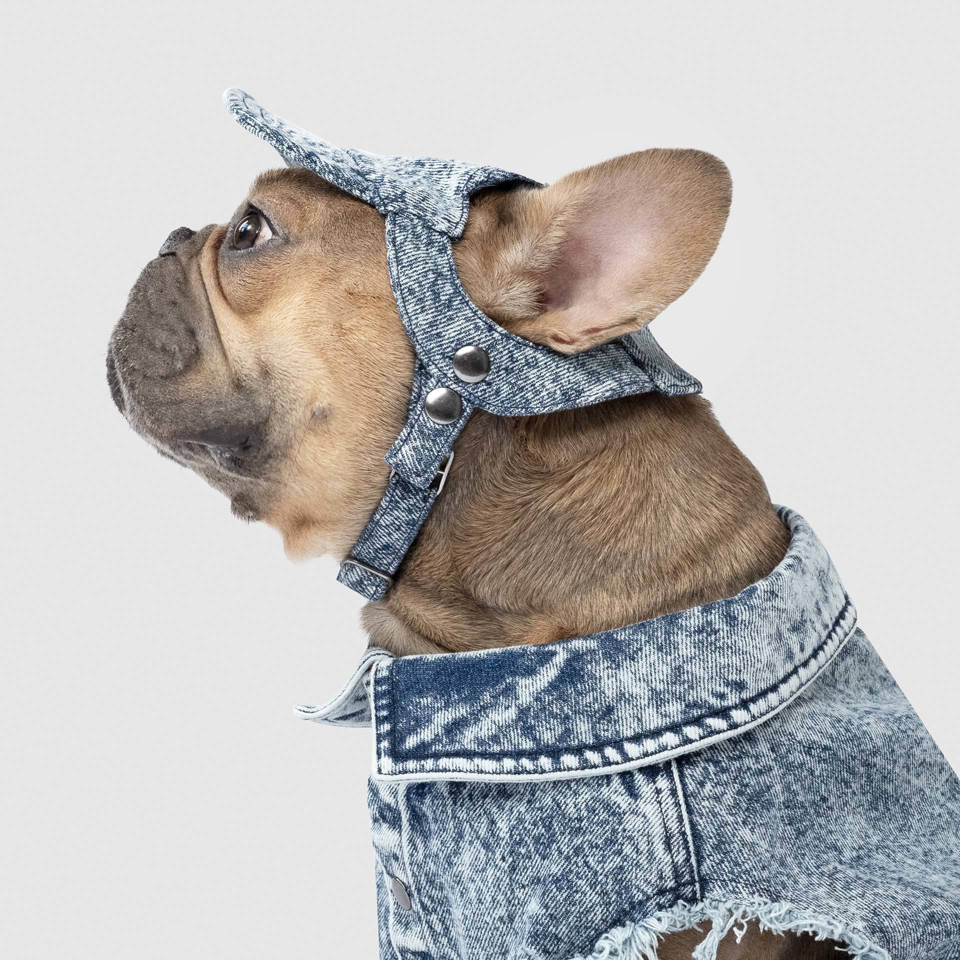 CANADA POOCH | Comeback Denim Cap - Image 4