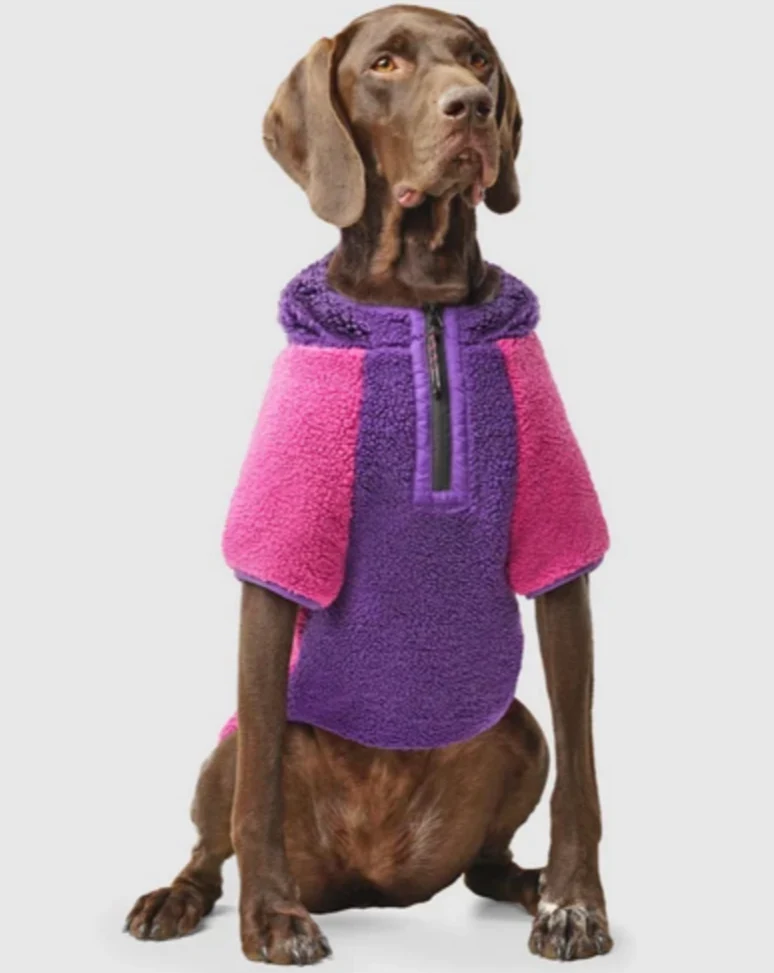 Cool Factor Fleece Dog Hoodie in Pink & Purple (FINAL SALE) - Image 2