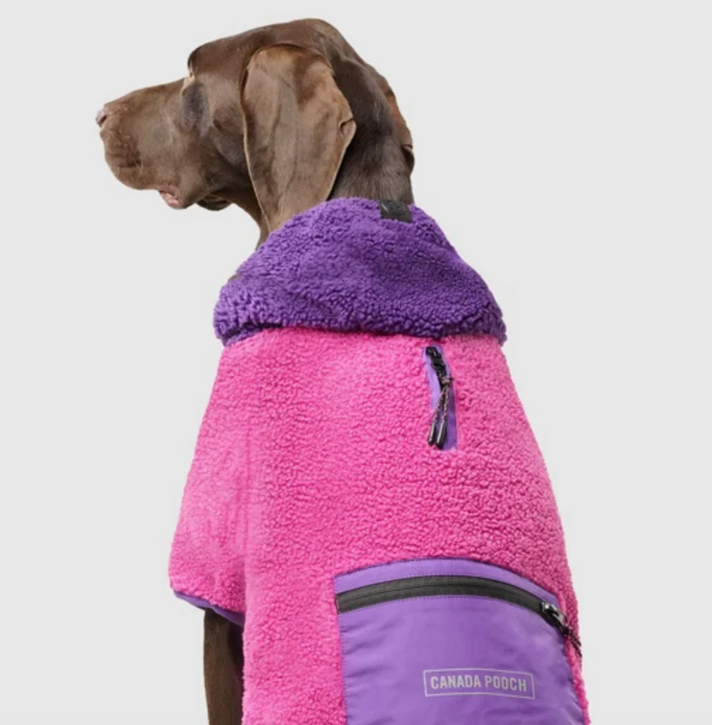 Cool Factor Fleece Dog Hoodie in Pink & Purple (FINAL SALE) - Image 4
