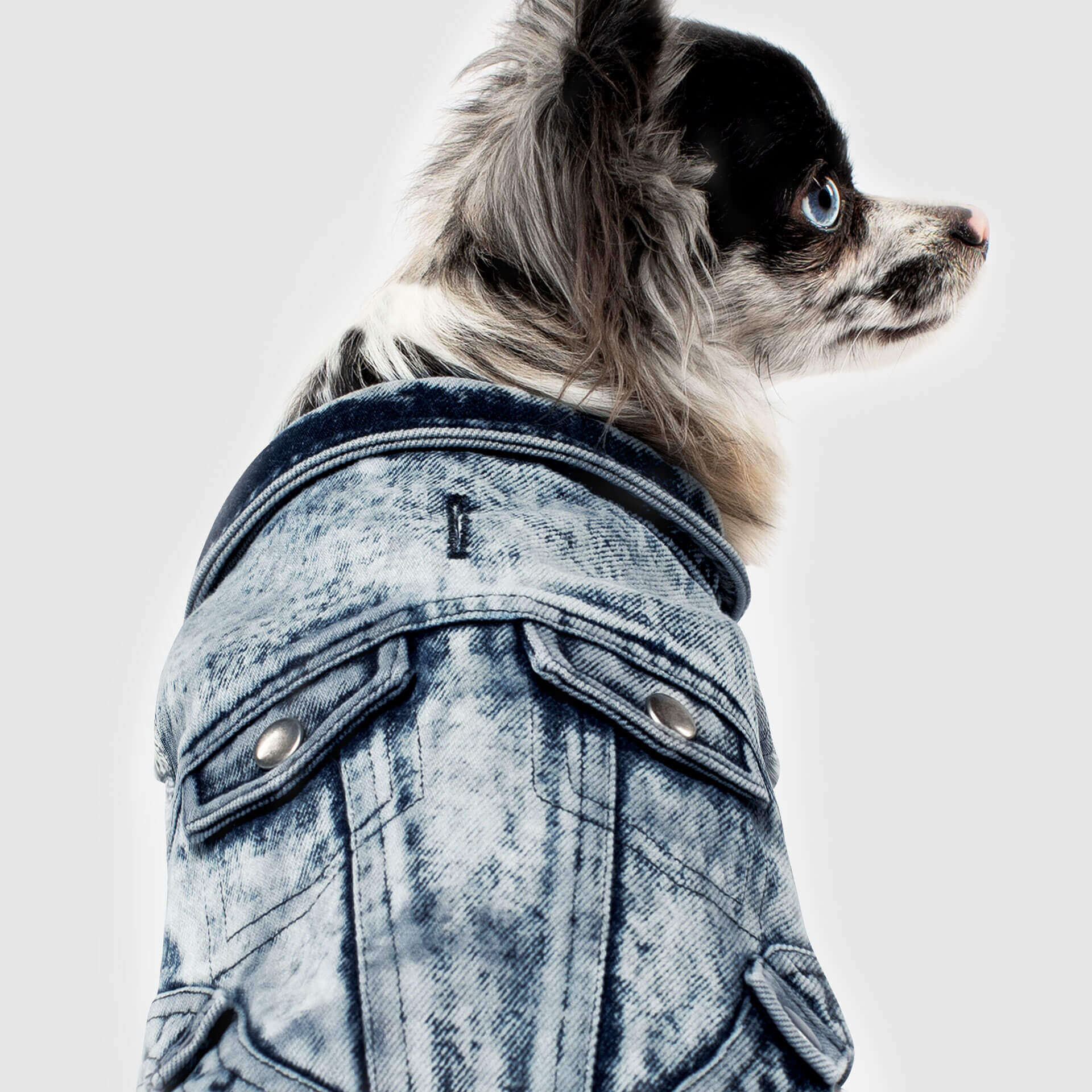 CANADA POOCH | Downtown Denim Vest - Image 4