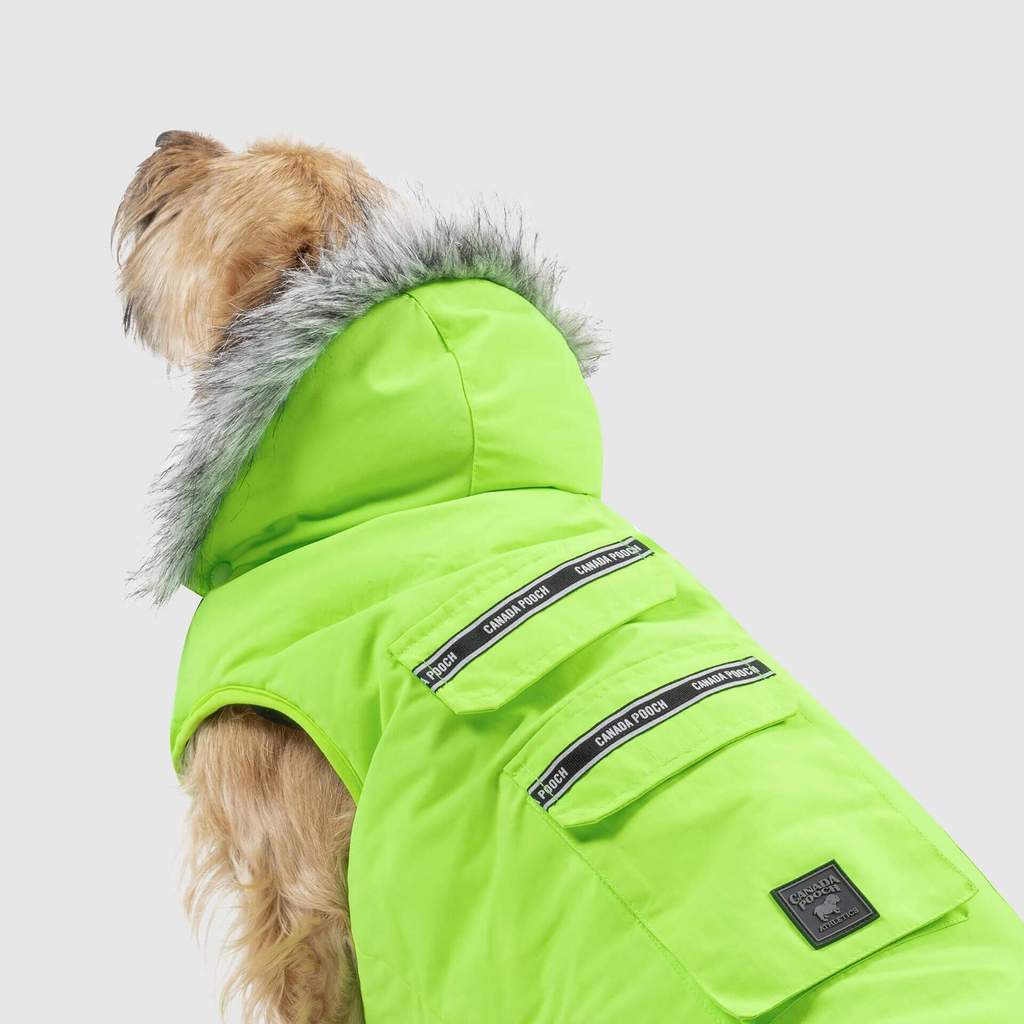 Everest Explorer Vest in Neon Green (FINAL SALE) - Image 4