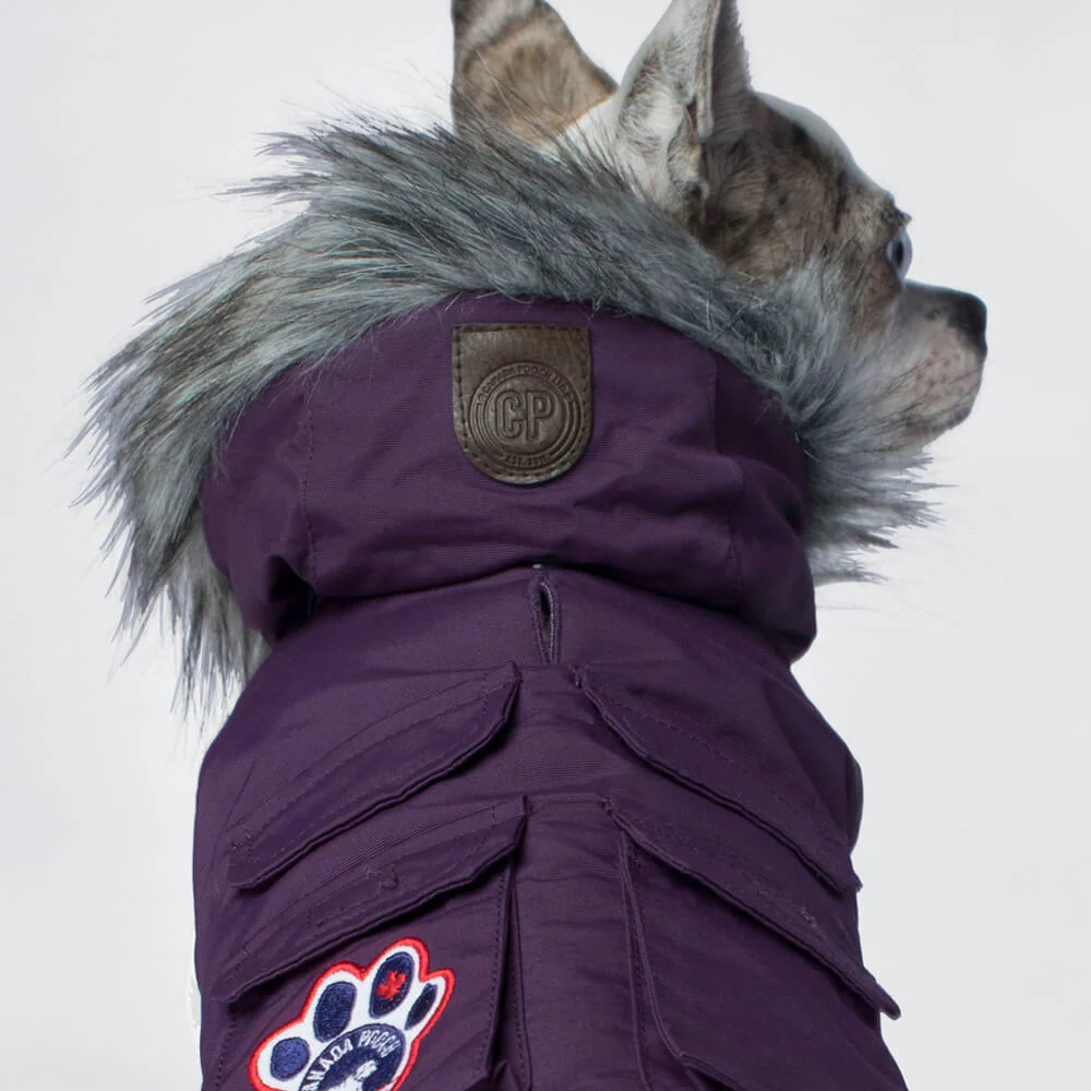 CANADA POOCH | Everest Explorer Vest in Plum (BIG DOG SALE) - Image 3