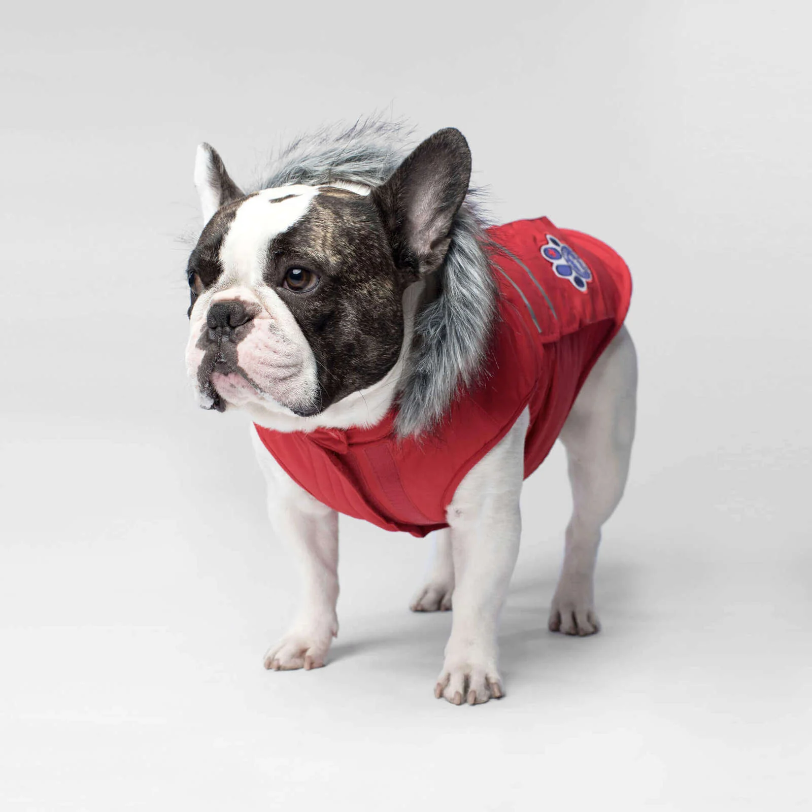 CANADA POOCH | Everest Explorer Vest in Red (BIG DOG SALE) - Image 3