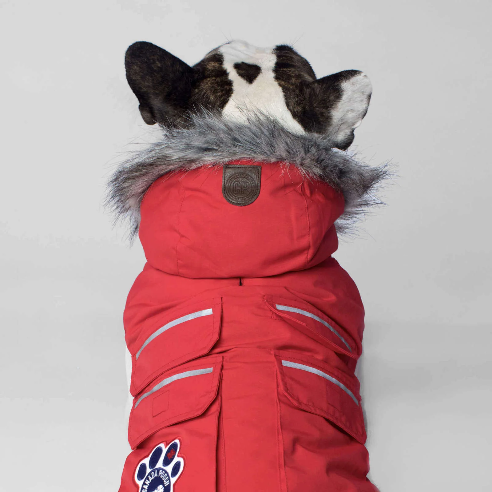 CANADA POOCH | Everest Explorer Vest in Red (BIG DOG SALE) - Image 4