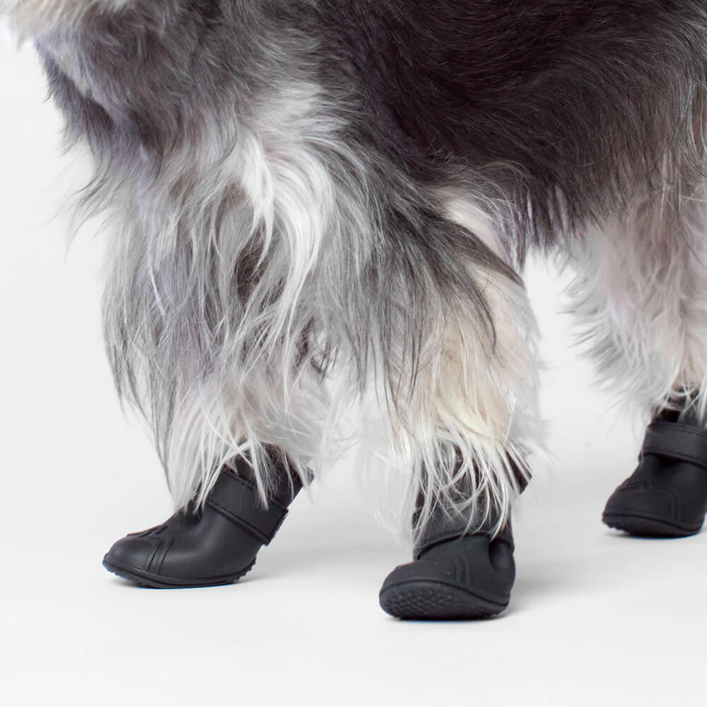 CANADA POOCH | Fleeced Lined Wellies Boots in Black - Image 3
