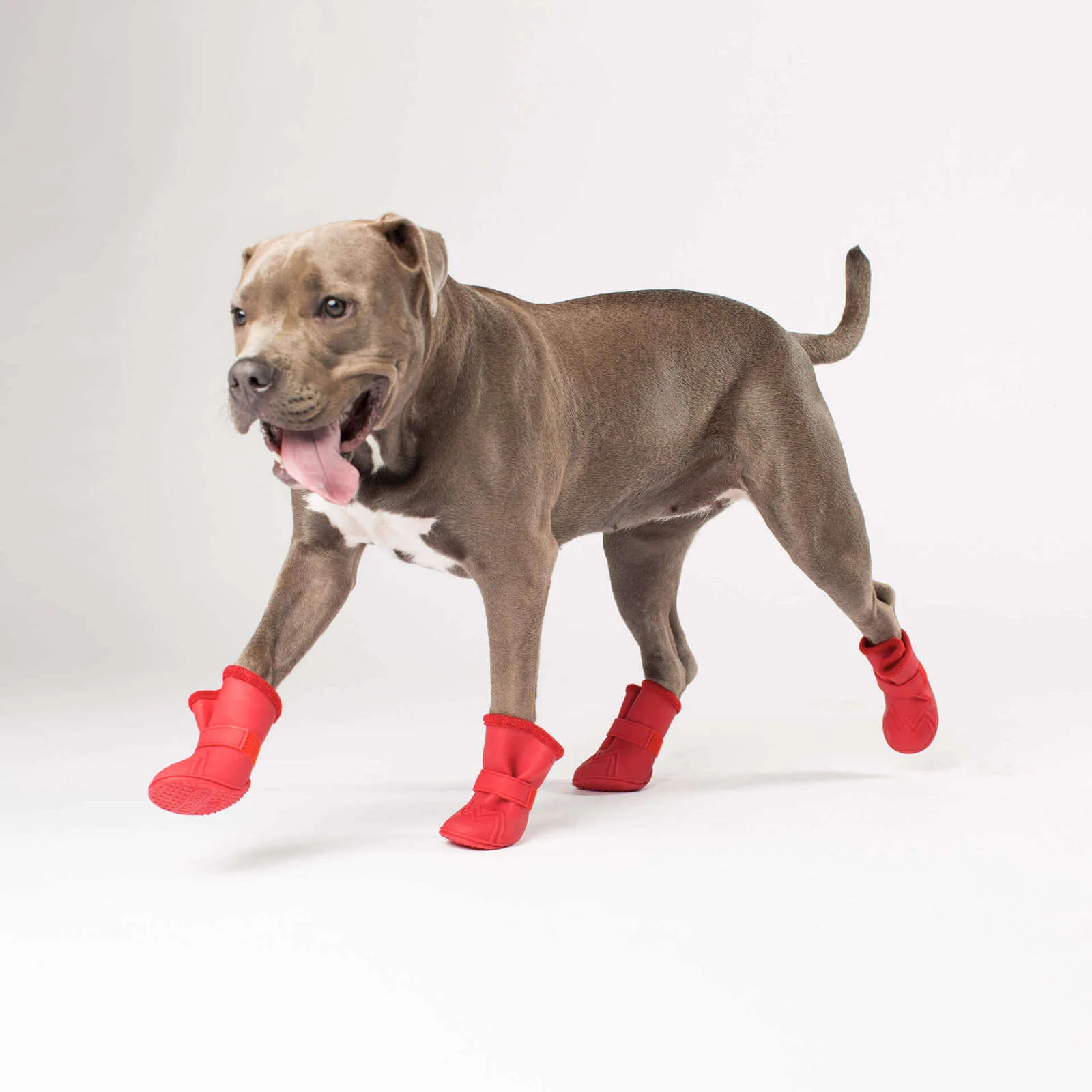 CANADA POOCH | Fleeced Lined Wellies Boot in Red (BIG DOG SALE) - Image 2