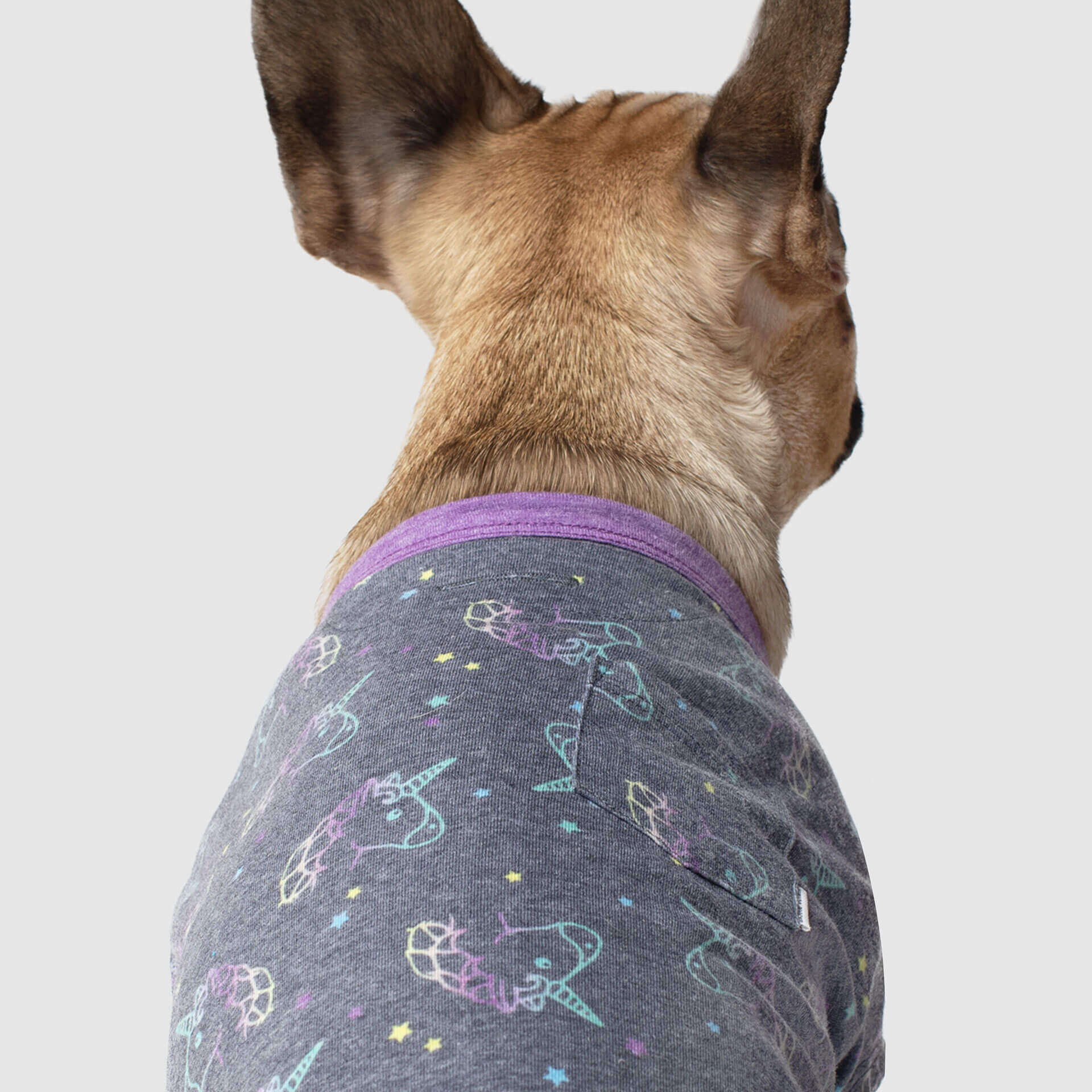 CANADA POOCH | Follow Me Tee in Black Unicorn - Image 3
