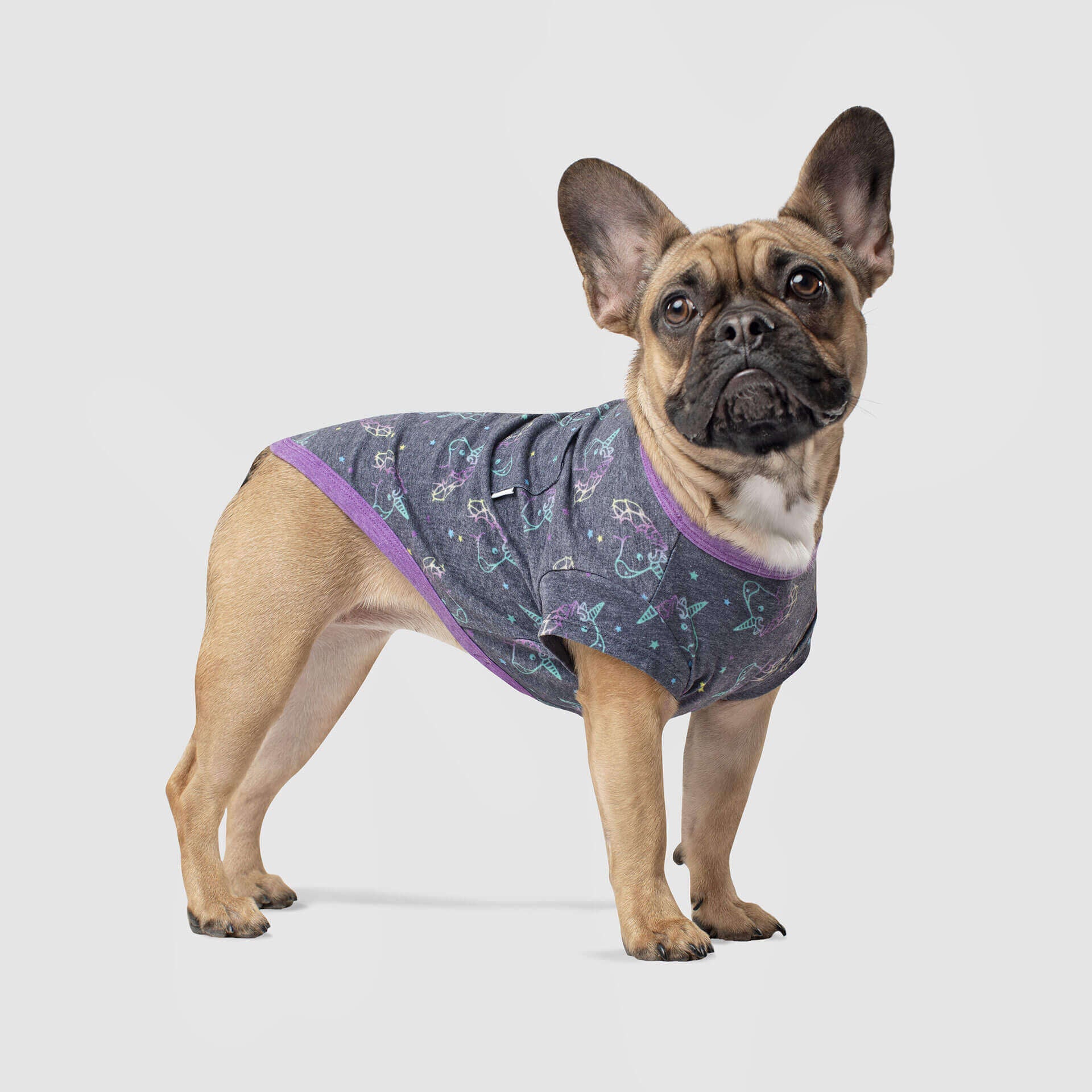 CANADA POOCH | Follow Me Tee in Black Unicorn - Image 4