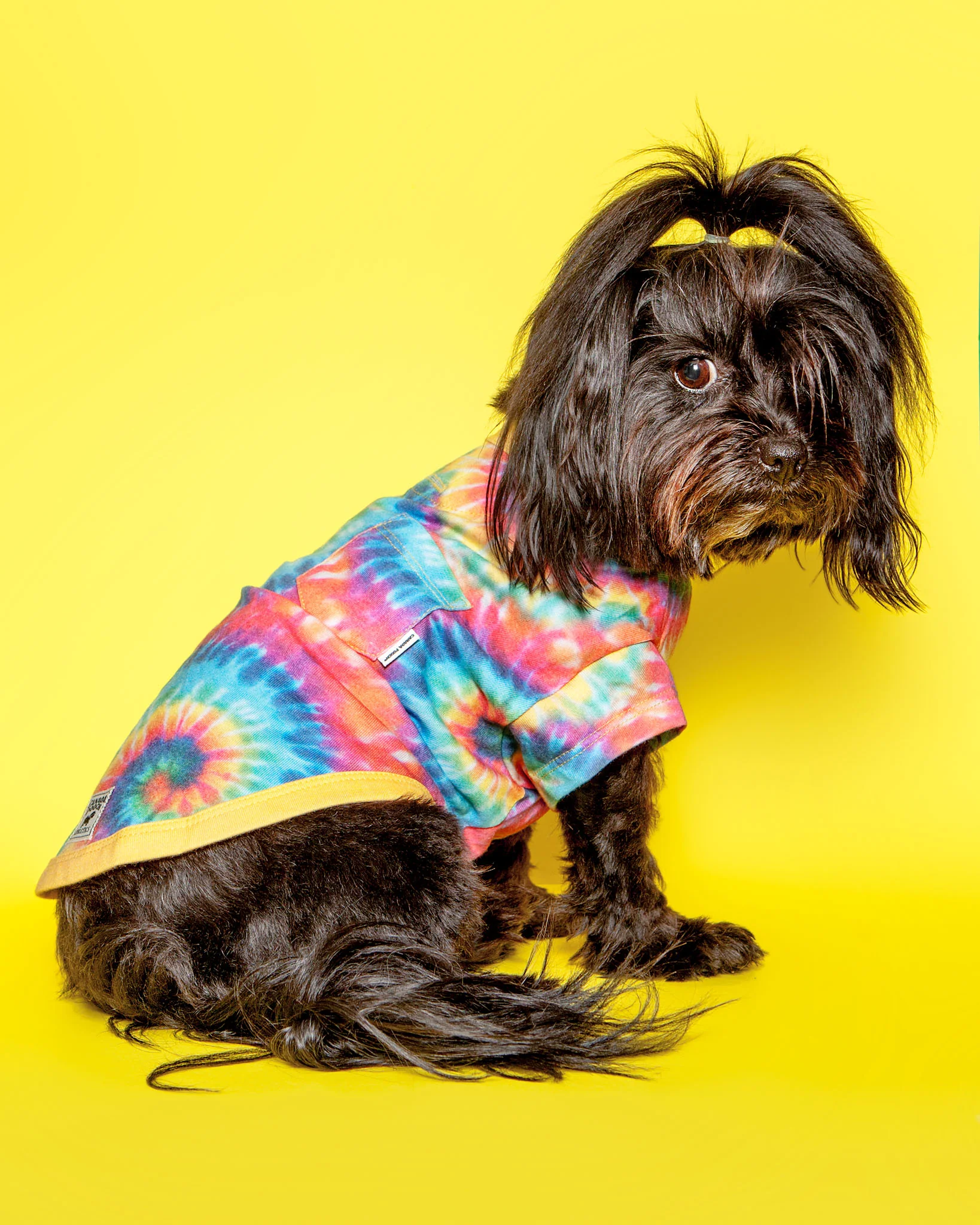 Follow Me Dog Tee in Tie Dye (FINAL SALE) - Image 2