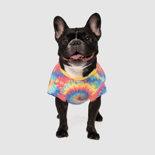 Follow Me Dog Tee in Tie Dye (FINAL SALE) - Image 3
