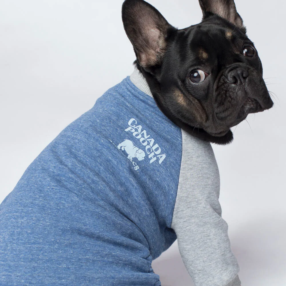 CANADA POOCH | Frosty Fleece Sweatsuit in Blue - Image 4