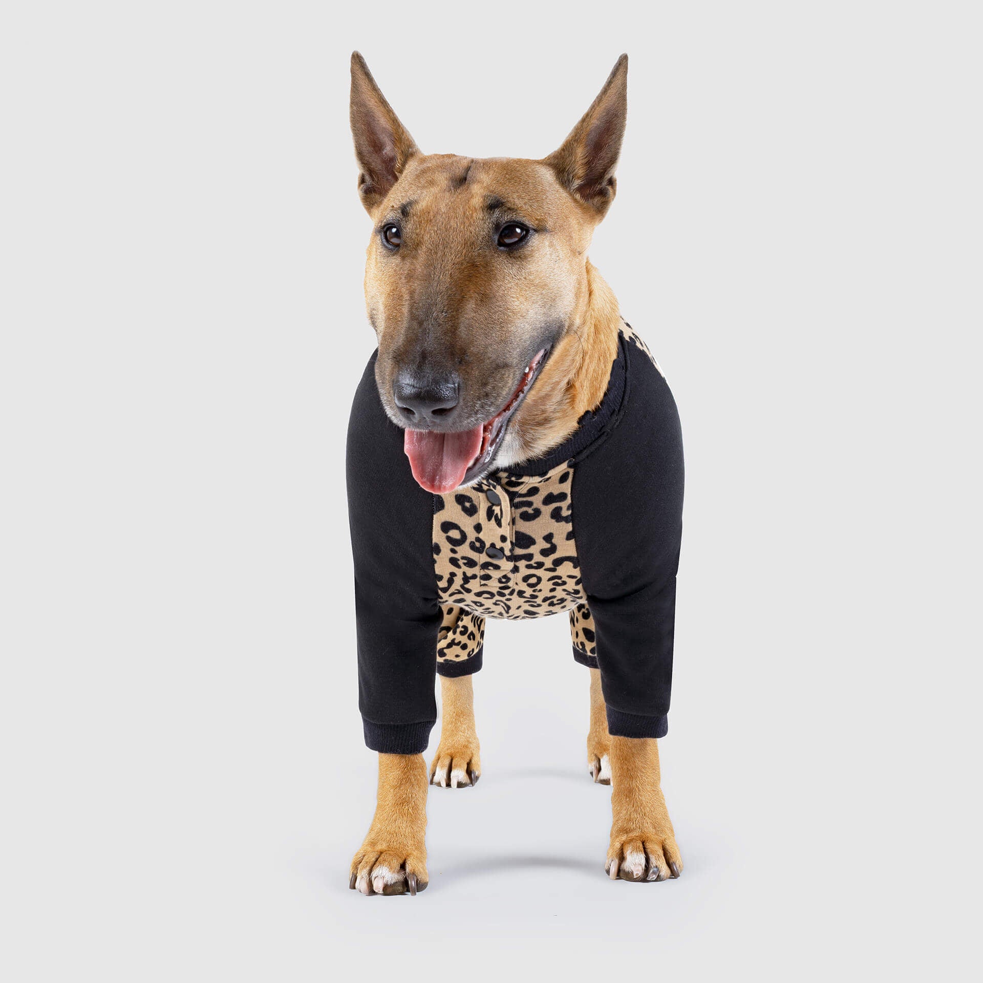 CANADA POOCH | Frosty Fleece Sweatsuit in Leopard - Image 3