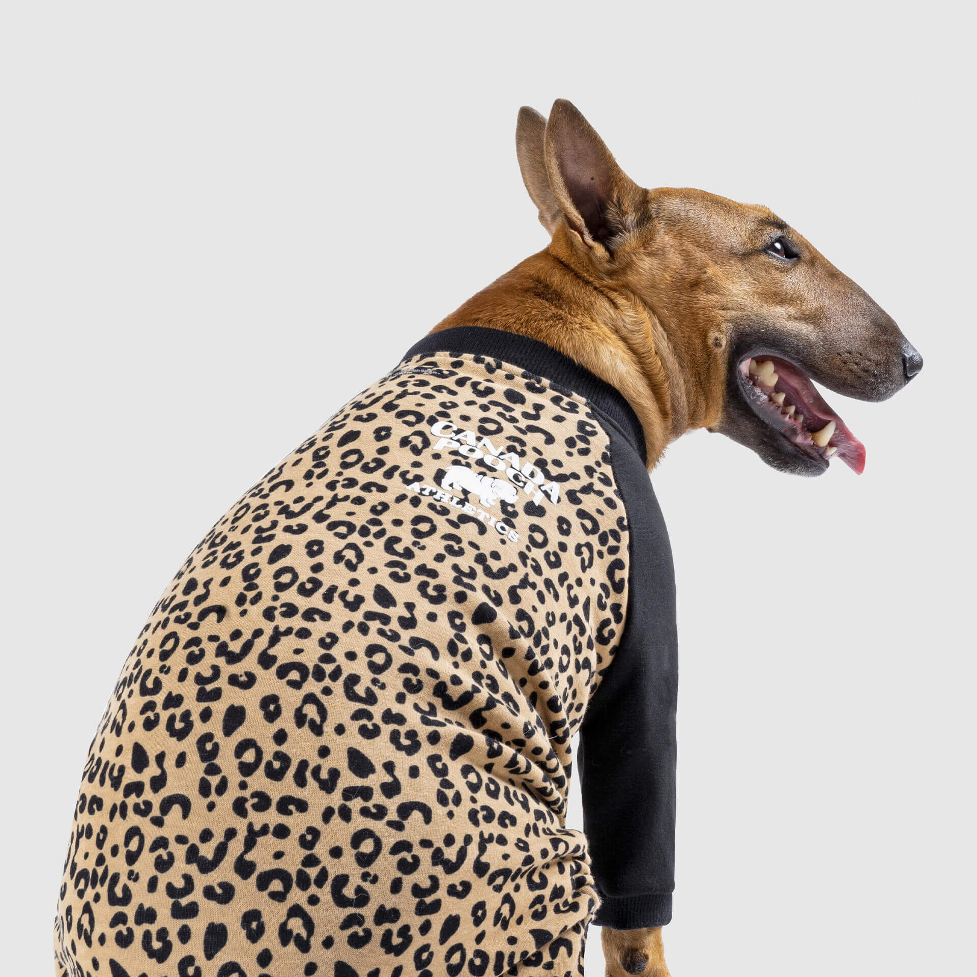 CANADA POOCH | Frosty Fleece Sweatsuit in Leopard - Image 4