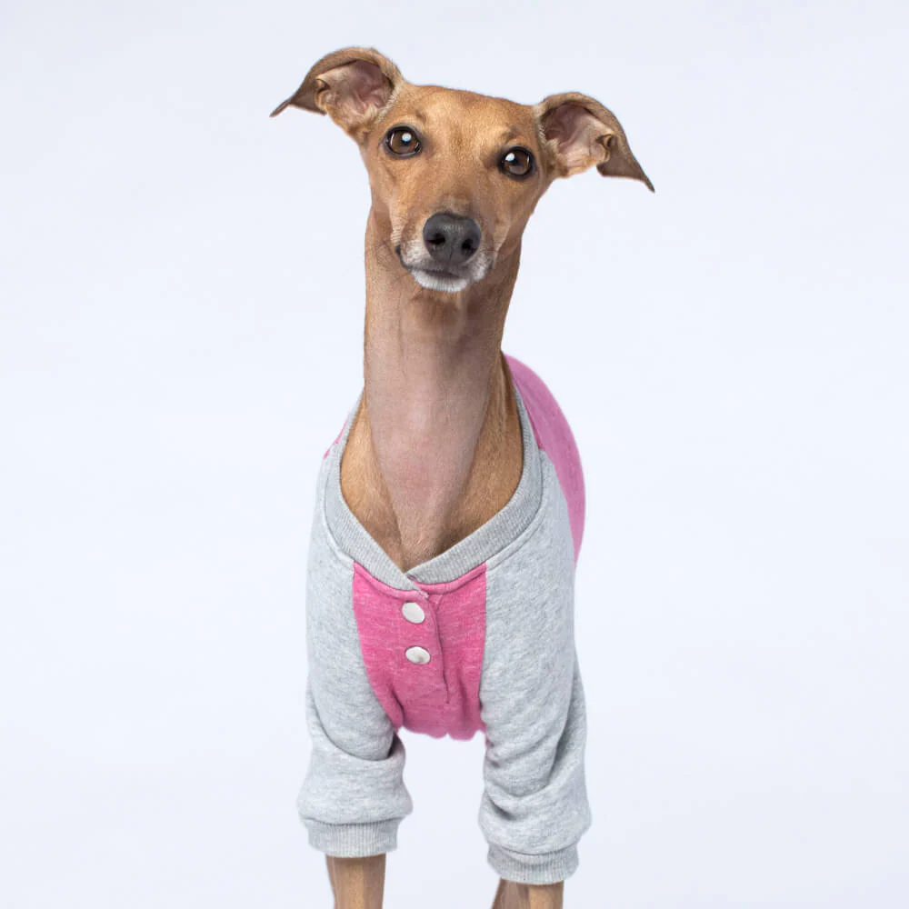 CANADA POOCH | Frosty Fleece Sweatsuit in Rasberry - Image 3