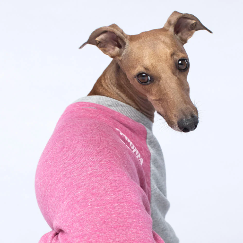 CANADA POOCH | Frosty Fleece Sweatsuit in Rasberry - Image 4