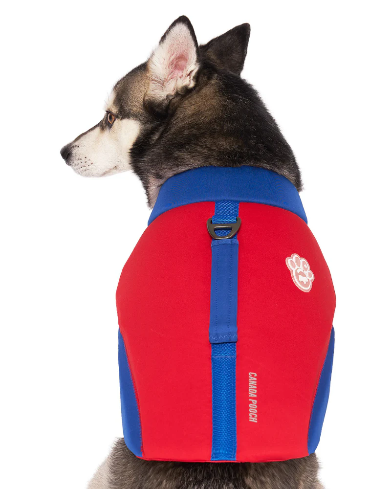 High Tide Dog Life Jacket in Blue & Red (FINAL SALE) - Image 3