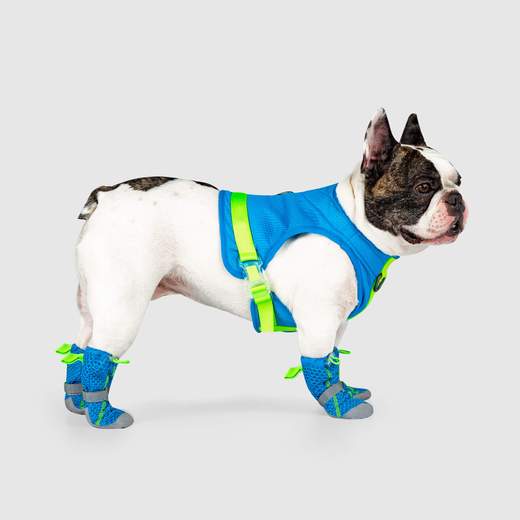 Hot Pavement Dog Boots in Blue and Green << CLEARANCE >> - Image 4
