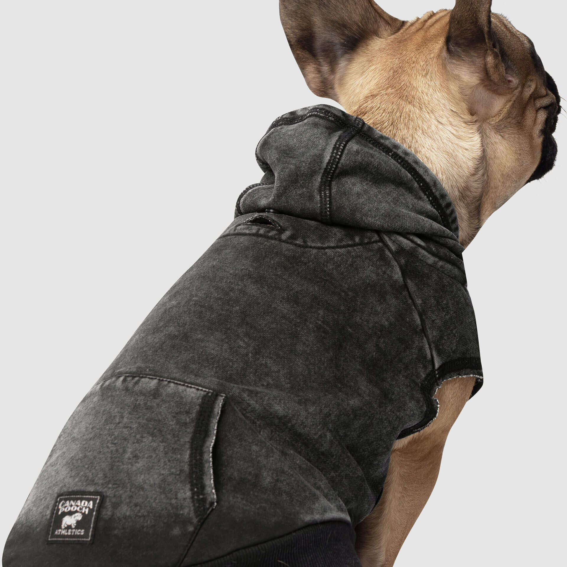 CANADA POOCH | No Authority Hoodie - Image 2