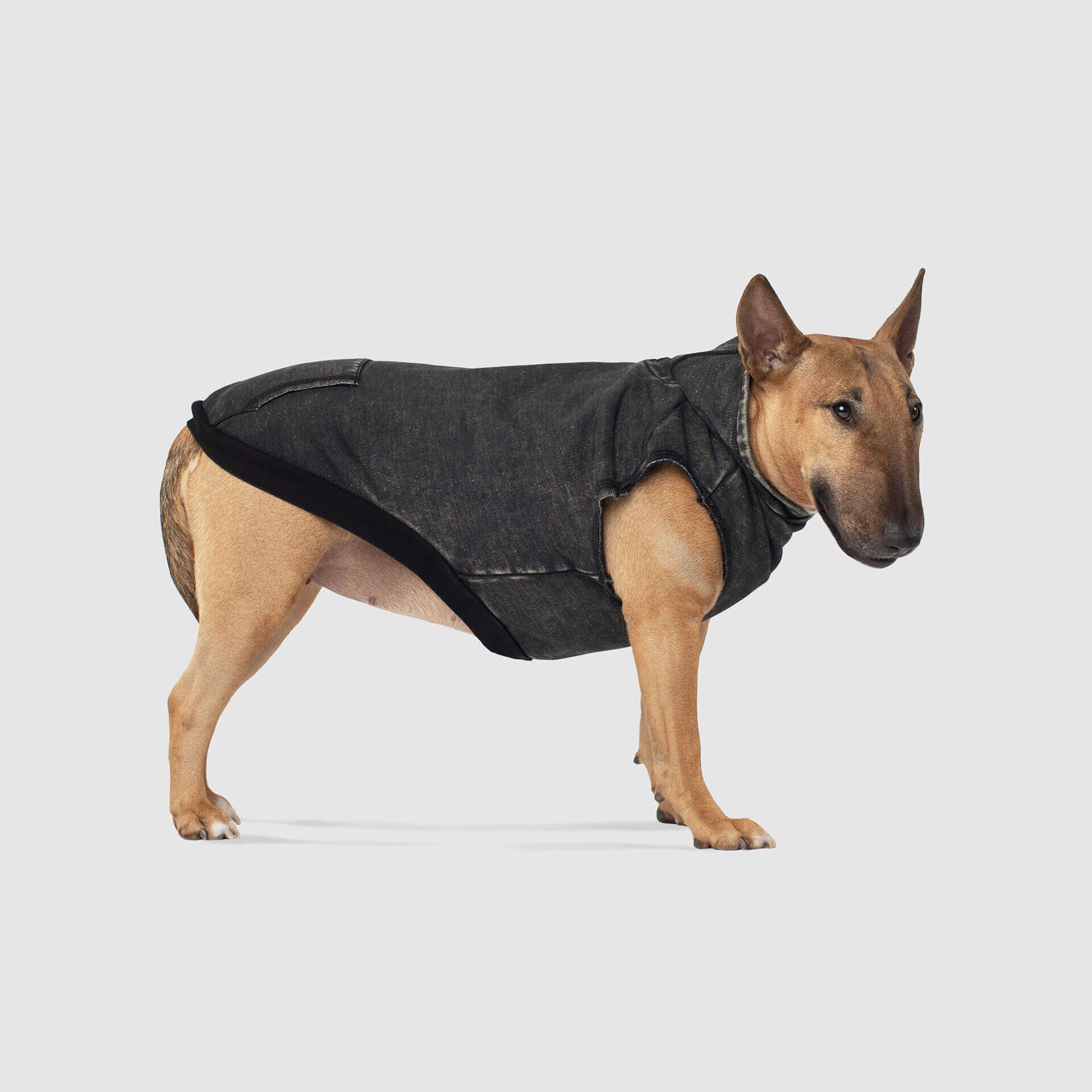 CANADA POOCH | No Authority Hoodie - Image 4